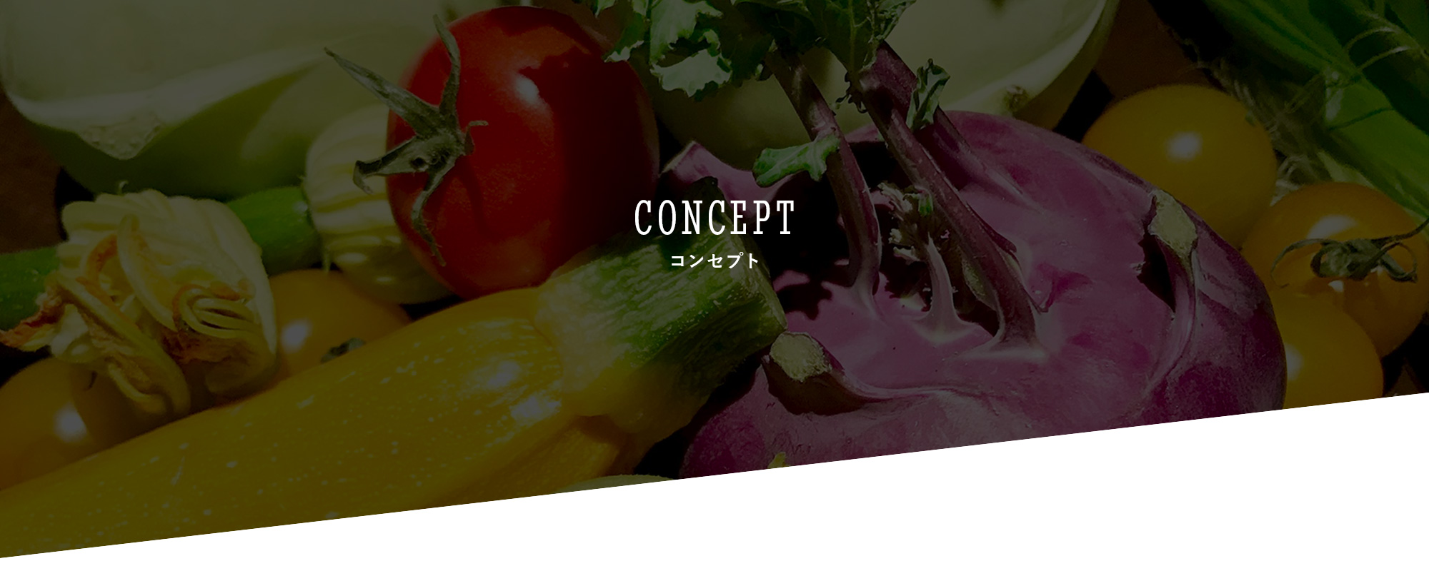 コンセプト