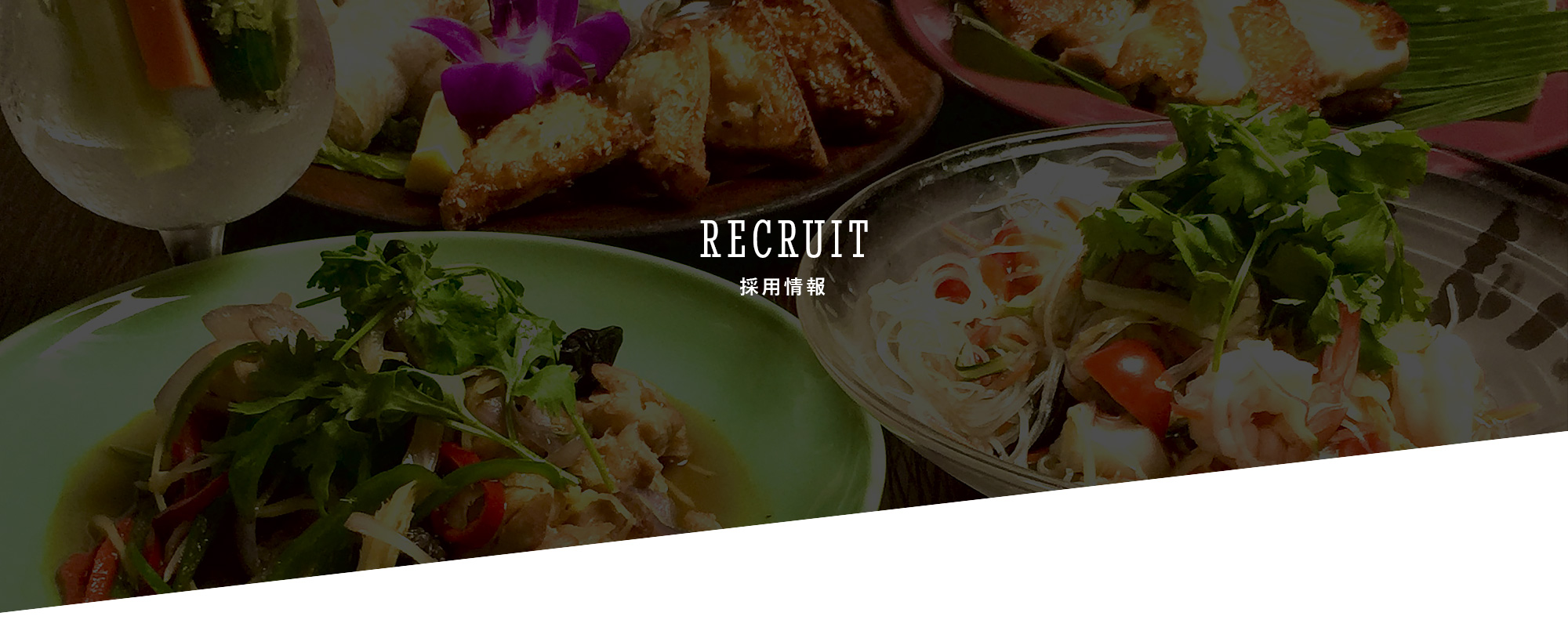 採用情報